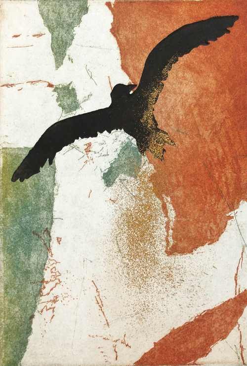 isabelle_panaud-passage-migratoire-II