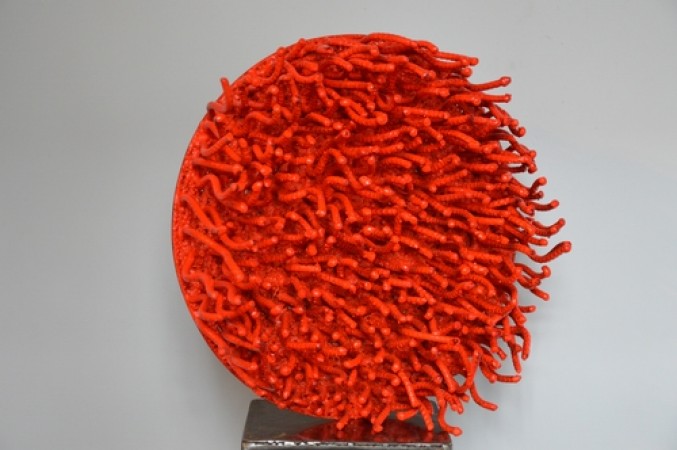 cercles_coralliens_bis