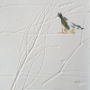 catherine_fava_dauvergne