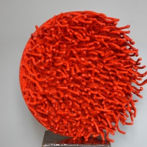 cercles_coralliens_bis