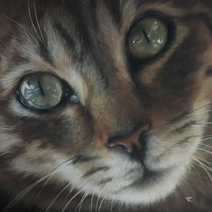 christine_tribouilloy