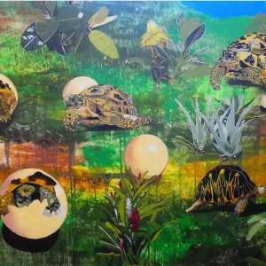 jrmy_tazenas_du_montcel