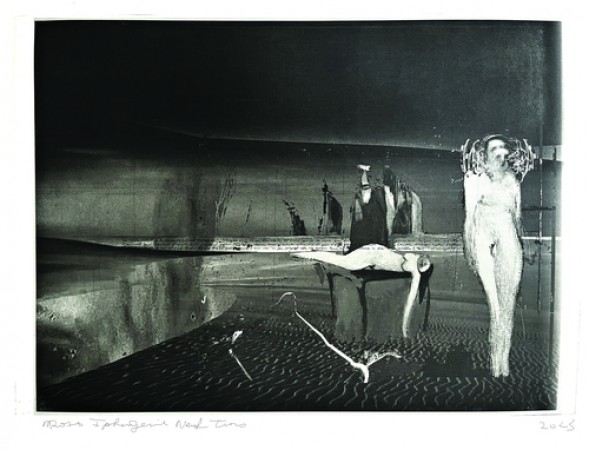 6-annieroses-photocatalogue-iphigenie