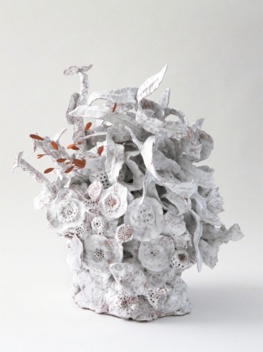 p1350911-les-noli-me-tangere-les-pistils-candidus-pullipiscus-face-a-2021-répertoriée-n°730-78-768x1024