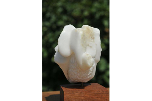 Inoubliable_rencontre