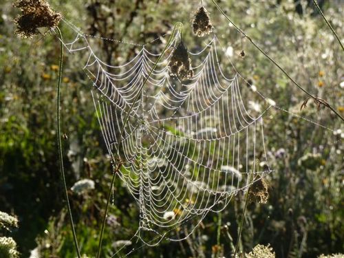 photo Odile Boileau