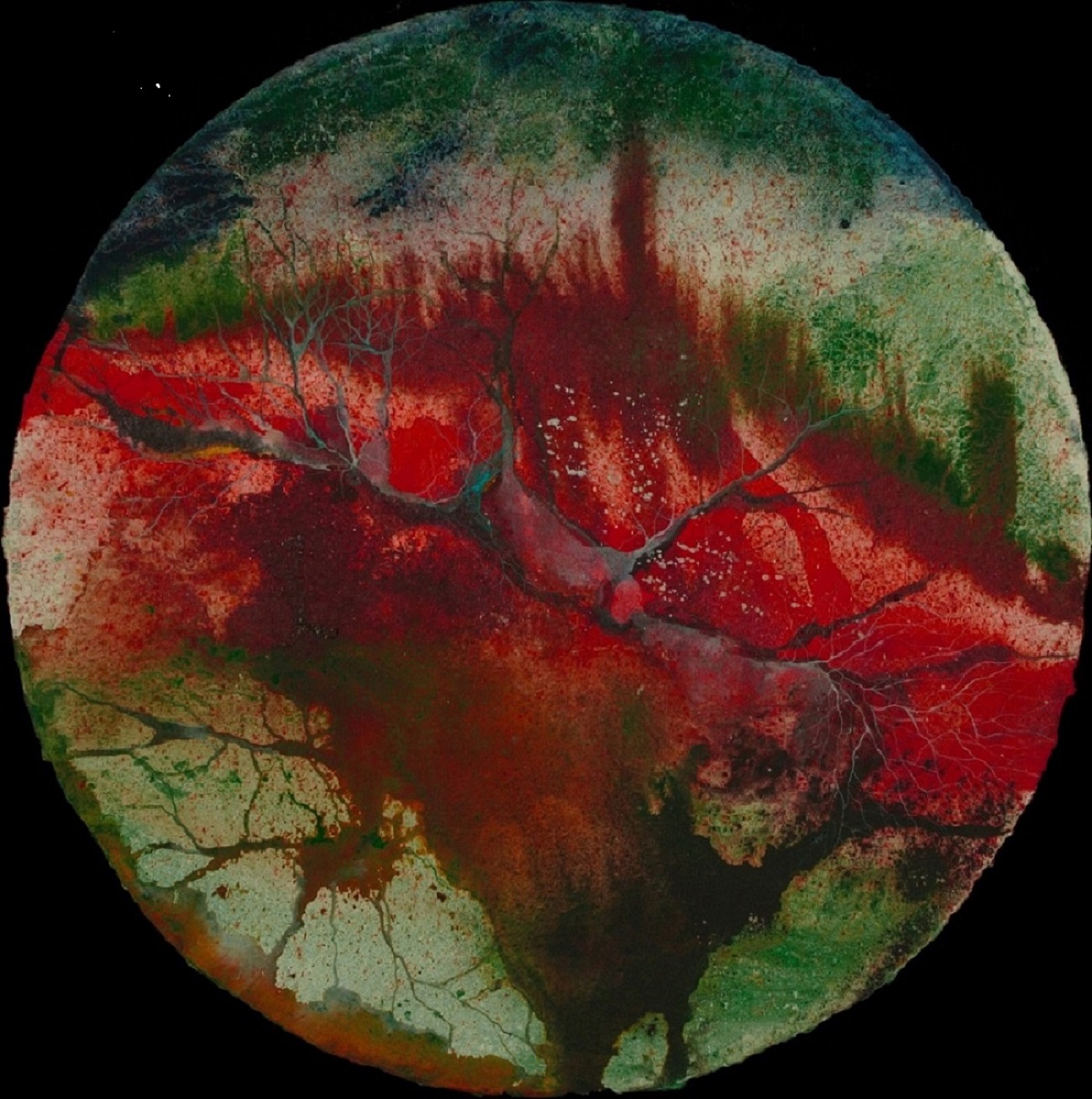 Catherine Bailly