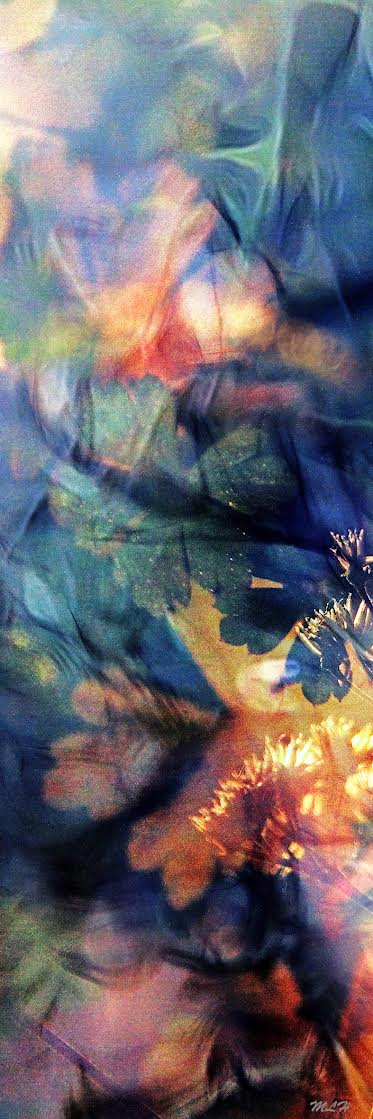 photographie numerique