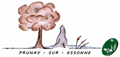 logo-prunay